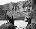 Canyon de Chelley, Del Muerto