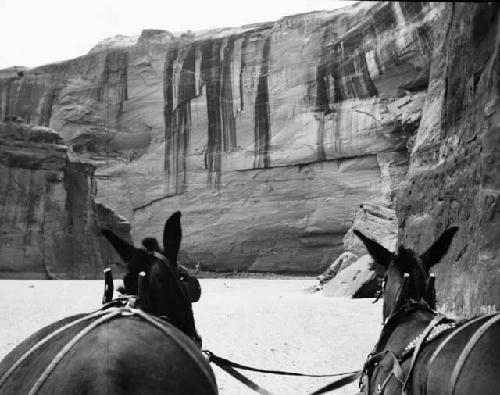 Canyon de Chelley, Del Muerto