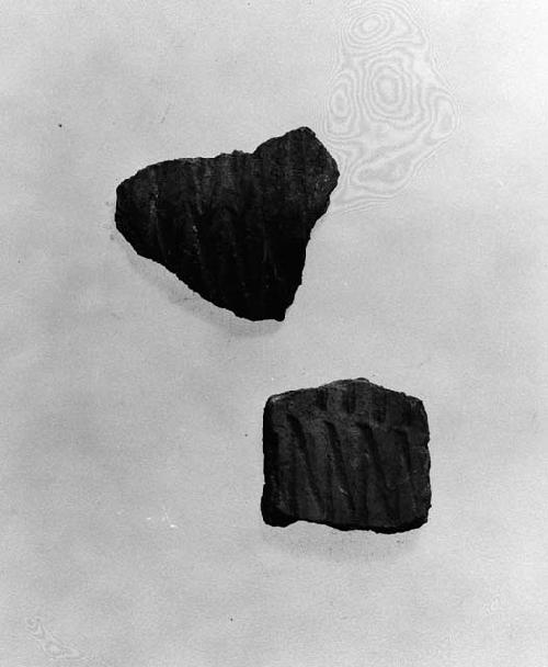 2 potsherds