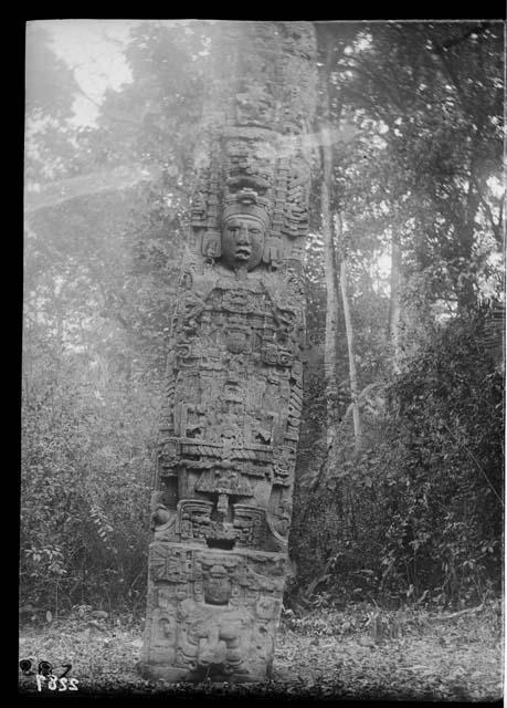 Stela D, northwest corner