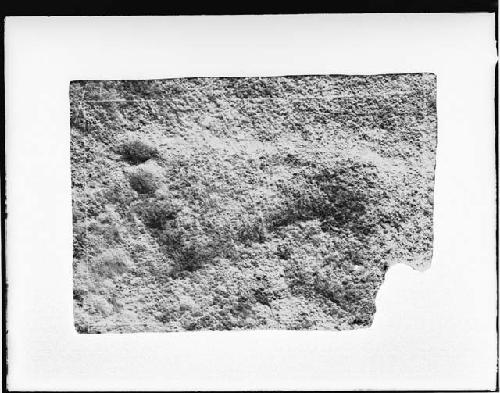 Foot Print