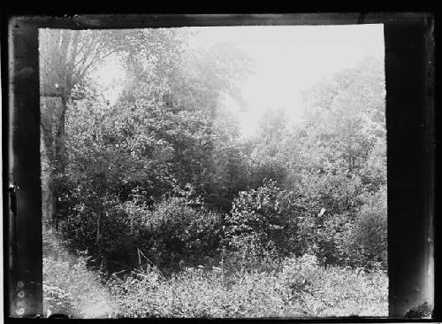 Silverheels site -- point upon which it is situated, from flats, looking East