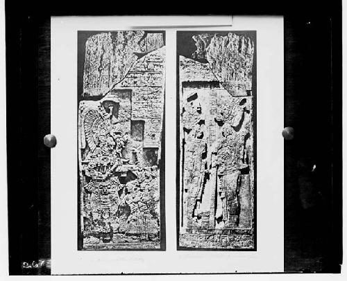 Both side of Stela 11 on one negative