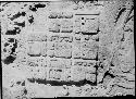 Stela 4 - Glyphs