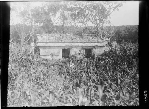 Ruin 1, Façade - West Side