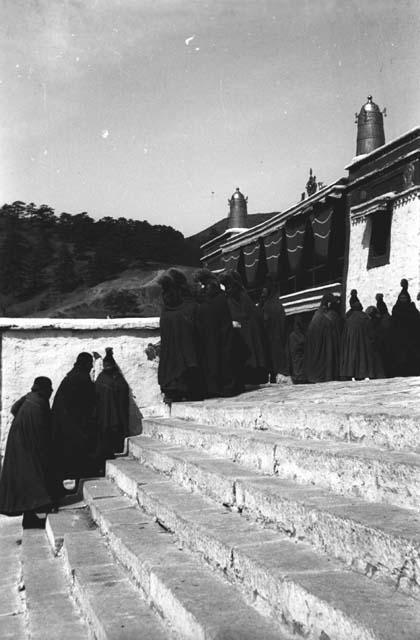 Lamas coming up steps, main dogan, Batogar