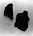 2 potsherds