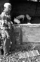 Man watching pigs in barn