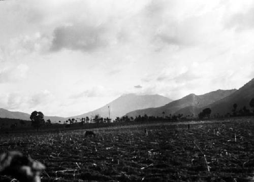 View of Agua from Guatemala-Antigua Road