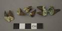 Animal teeth, unidentified, stained green