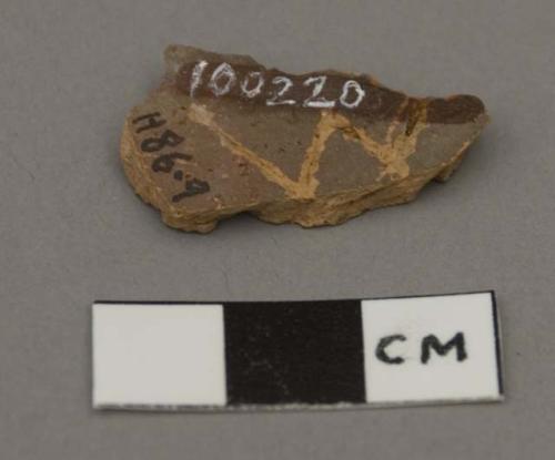 Ceramic sherd