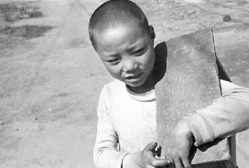 Portrait of boy carrying wood on shoulder