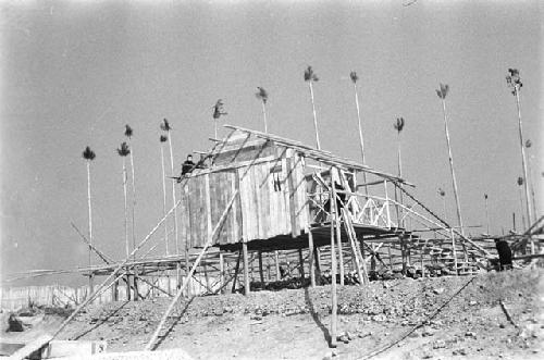 Construction, tufts on scaffold poles to simulate trees