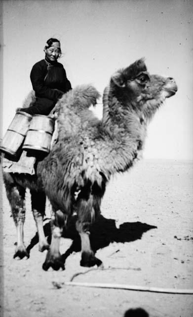 Woman with water riding camel