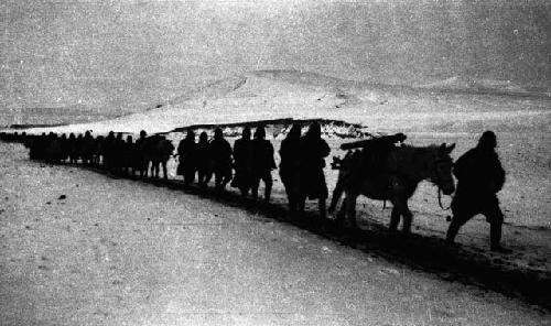 Long line of soldiers walking through snow