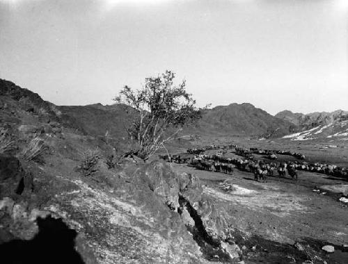 Valley surrounded by mountains filled with long lines of pack animals