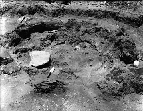 Structure 102, room 3, burial 102