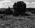 Pueblo ruin north of the Curtiss ranch site