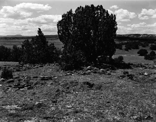 Pueblo ruin north of the Curtiss ranch site