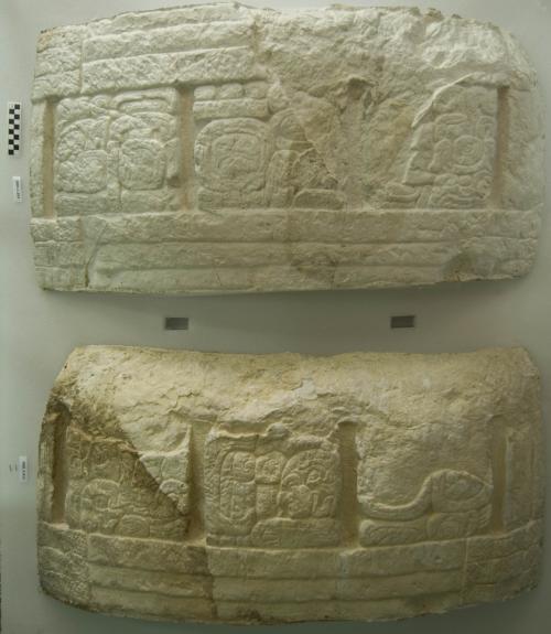 Cast of part of Altar of Stela I, west