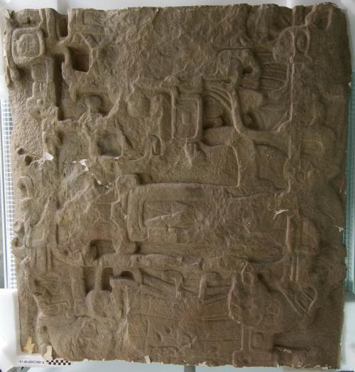 Cast of part of Stela C, Quirigua; back, middle, arms and profile face