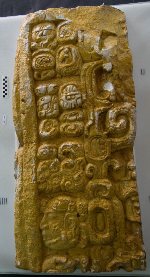 Cast of part of Stela B - south top