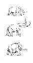 Drawings of mastodons