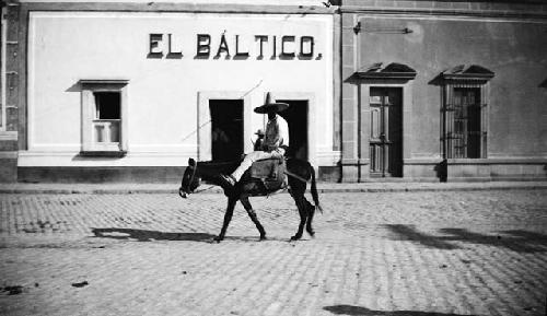 Man riding pack animal through street