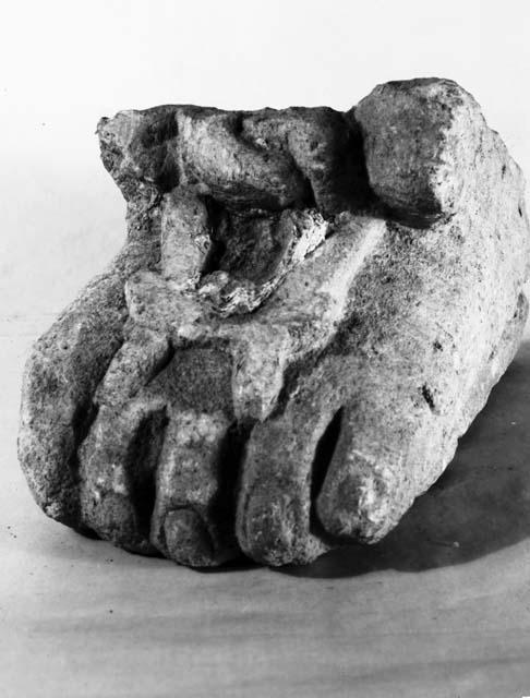 Portion of foot with sandal