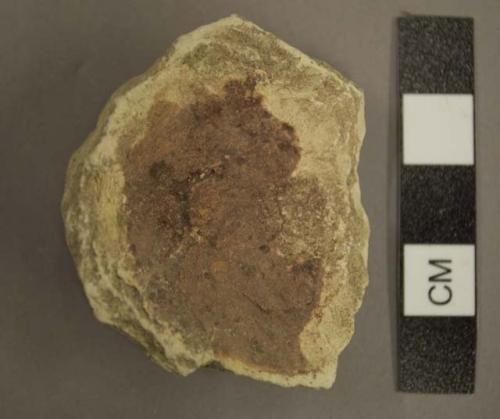 Potsherd - base, San Bernardino pink