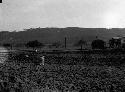 Site of the Silesian urn field