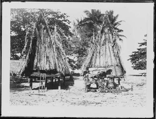 Children in front of two huts