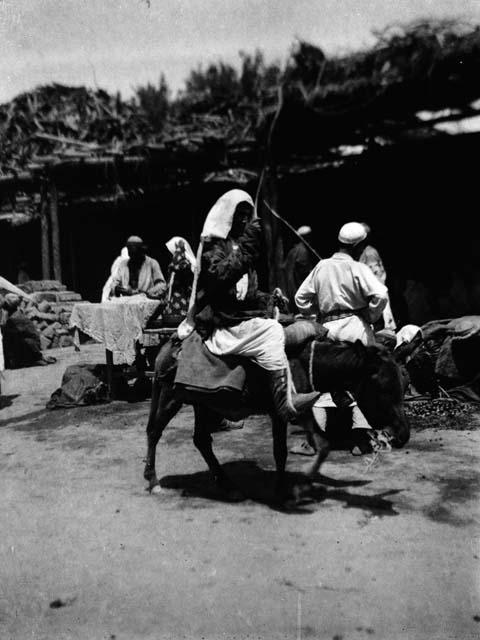 Woman riding donkey in foreground