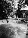 Pond with two wooden bridges