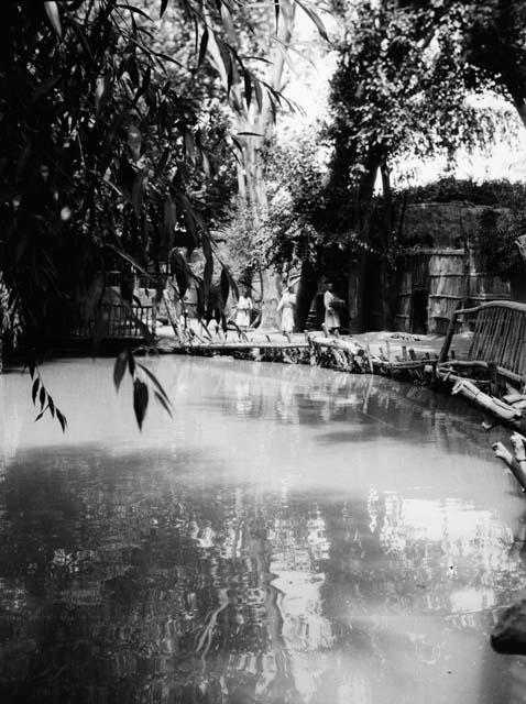 Pond with two wooden bridges