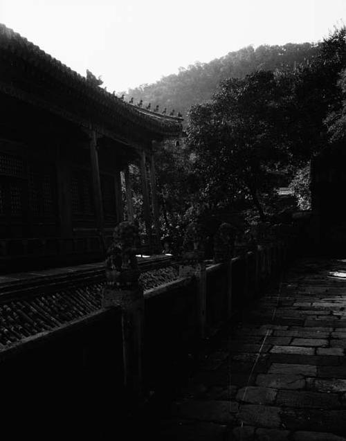 View of building, trees, and distant hill from upper terrace