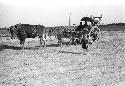 Two people sitting in ox cart under umbrella