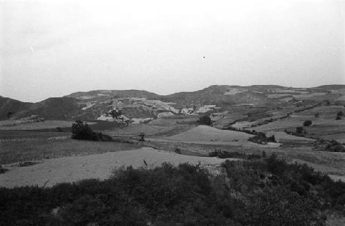 Hilly landscape with road and scattered trees