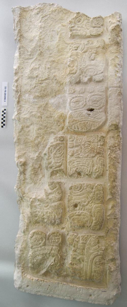 Cast of part of Stela 7, north bottom