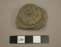 Sherd showing applied decoration. Plain