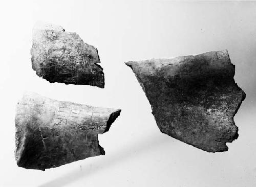 Inscribed oracle bones