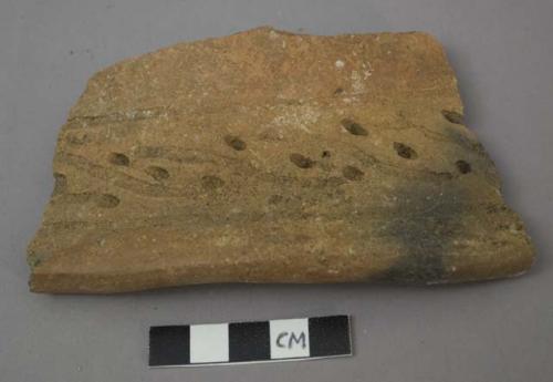 Rim sherd with punctate design