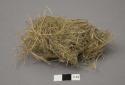 Materials (feather, bundle of grass, stick)  for making a johnny bird - child's