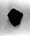 Potsherd