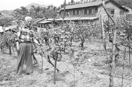 Portrait of man by fence in crop field