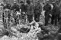 Soldiers gathered around looking at wreck