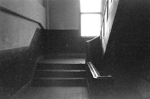 Portrait of stairway