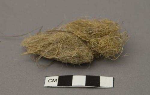 Ostrich egg shell water container, opening stuffed with reeds.