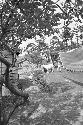 Man tends to goats outside in front of home