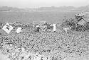 Farmers working in field